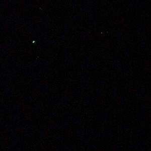 Meet your Posher, Elbony